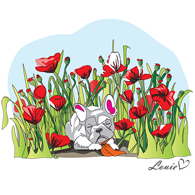 French Bulldog sleeping in poppy flowers